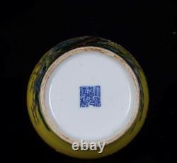 Pair Old Chinese Famille Rose Porcelain Vase Daoguang Marked St393