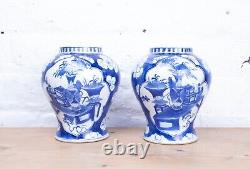 Pair of Antique 19th Century Chinese Blue & White Mirrored Porcelain Vases