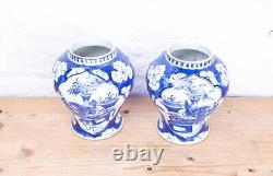 Pair of Antique 19th Century Chinese Blue & White Mirrored Porcelain Vases