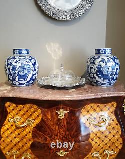 Pair of Chinese Blue and White Porcelain Ginger Jars Qing Dynasty