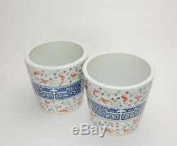 Pair of Chinese Blue and White Ribbon Famile Rose Bat Cloud Porcelain Flower Pot