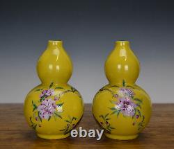 Pair of Chinese Famille Rose Enamel Double Gourd Porcelain Vase