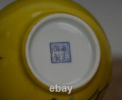 Pair of Chinese Famille Rose Enamel Double Gourd Porcelain Vase
