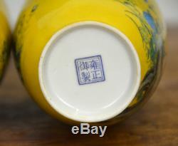 Pair of Chinese Famille Rose Yellow Ground Enamel Porcelain Vase