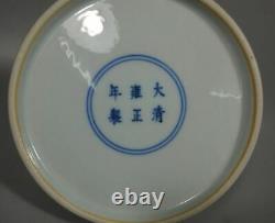 Perfect Chinese Antique Enamel Porcelain TaiBaiZun Pot Vase YongZheng Mark