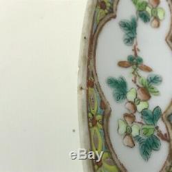 Rare 19th Century Rose Medallion Chinese Porcelain 9.5 Plate 2