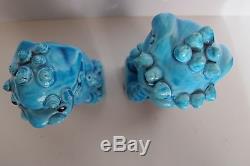 Rare Antique Pair Chinese Turquoise Blue Porcelain Foo Dogs Fitted Wood Stand