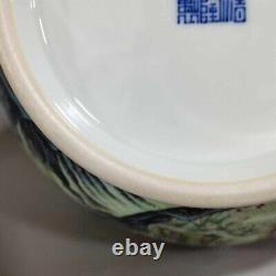 Rare Qing Dynasty Chinese Porcelain Famille Rose 18 Immortals Character Vase