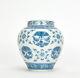 Superb Chinese Blue And White Butterfly And Flower Porcelain Jar With Lid