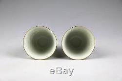 Superb Pair Antique 19C Chinese Qing Jiaqing Porcelain Topographical Cups/Beaker