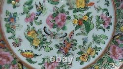 WONDERFUL 19th C. CHINESE ROSE CANTON PORCELAIN 6 1/4 GILT DECORATE PLATE