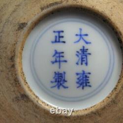 YONGZHENG RUBY BACKED Enamel Porcelain Brush Pot 18th Century Chinese Qing